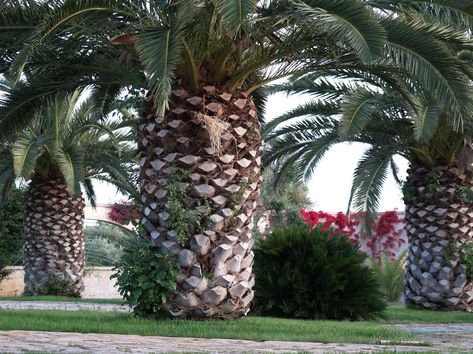 Hotel Masseria Tutosa Ostuni Exterior foto